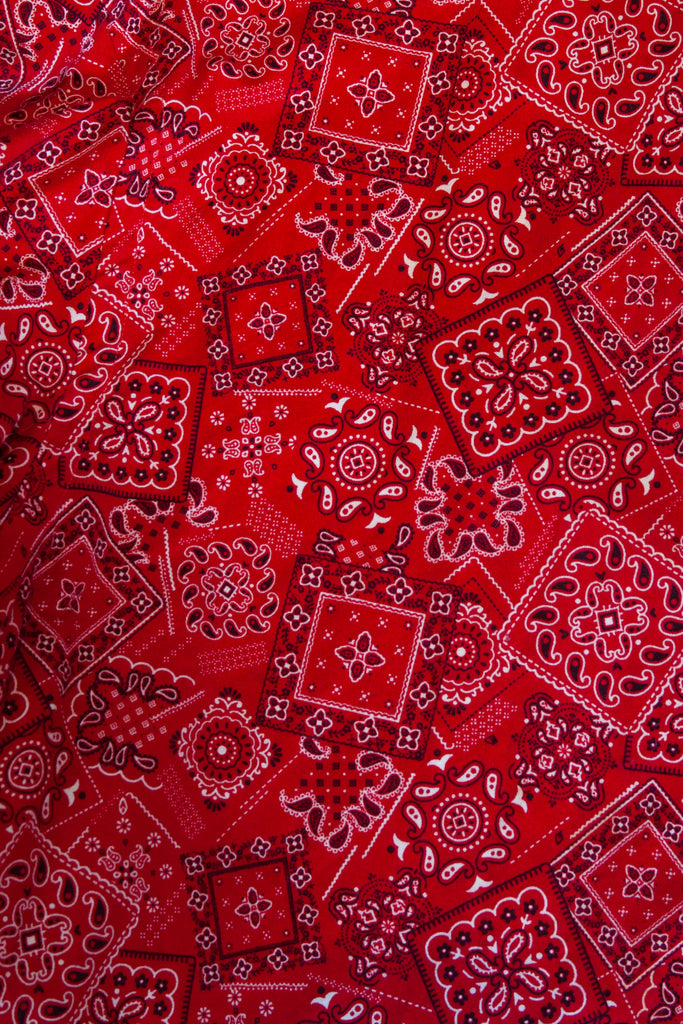 Gitman Vintage Red Print Shirt