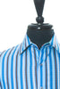 Robert Graham Blue Striped Shirt